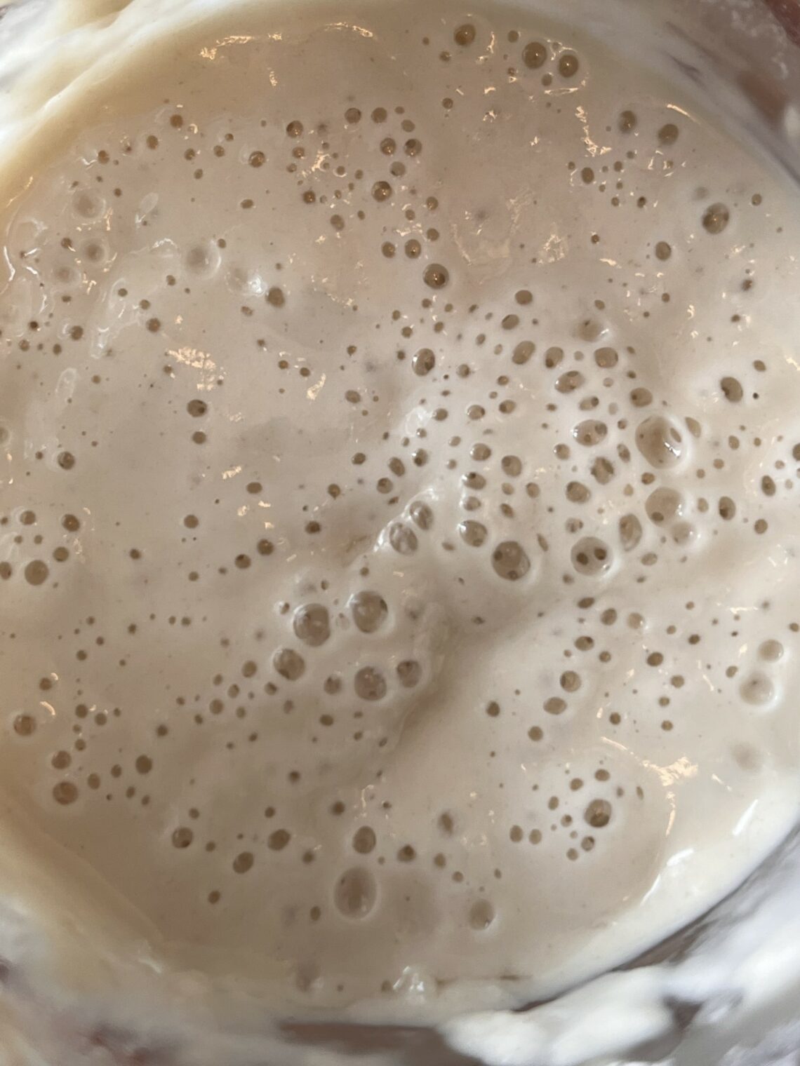 bubbly sourdough starter