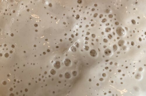 bubbly sourdough starter