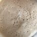 bubbly sourdough starter