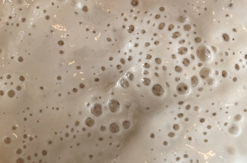 bubbly sourdough starter