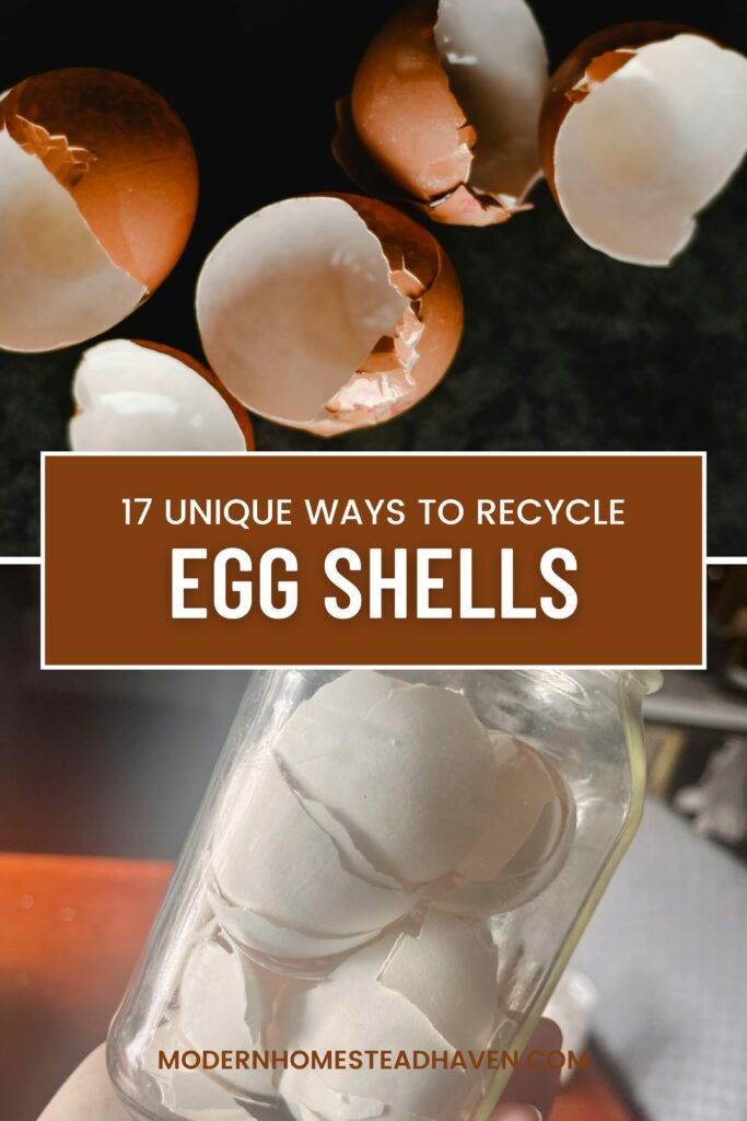 pinterest photo - eggshells