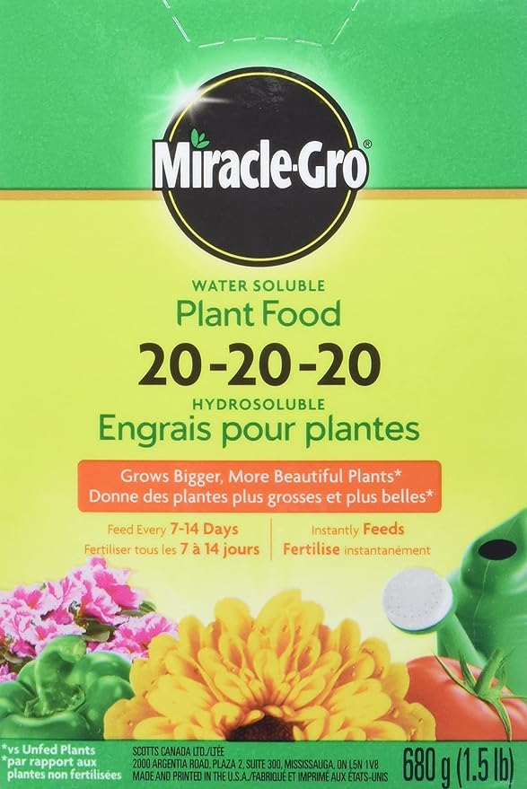 Miracle-Gro Fertilizer For Broccoli 